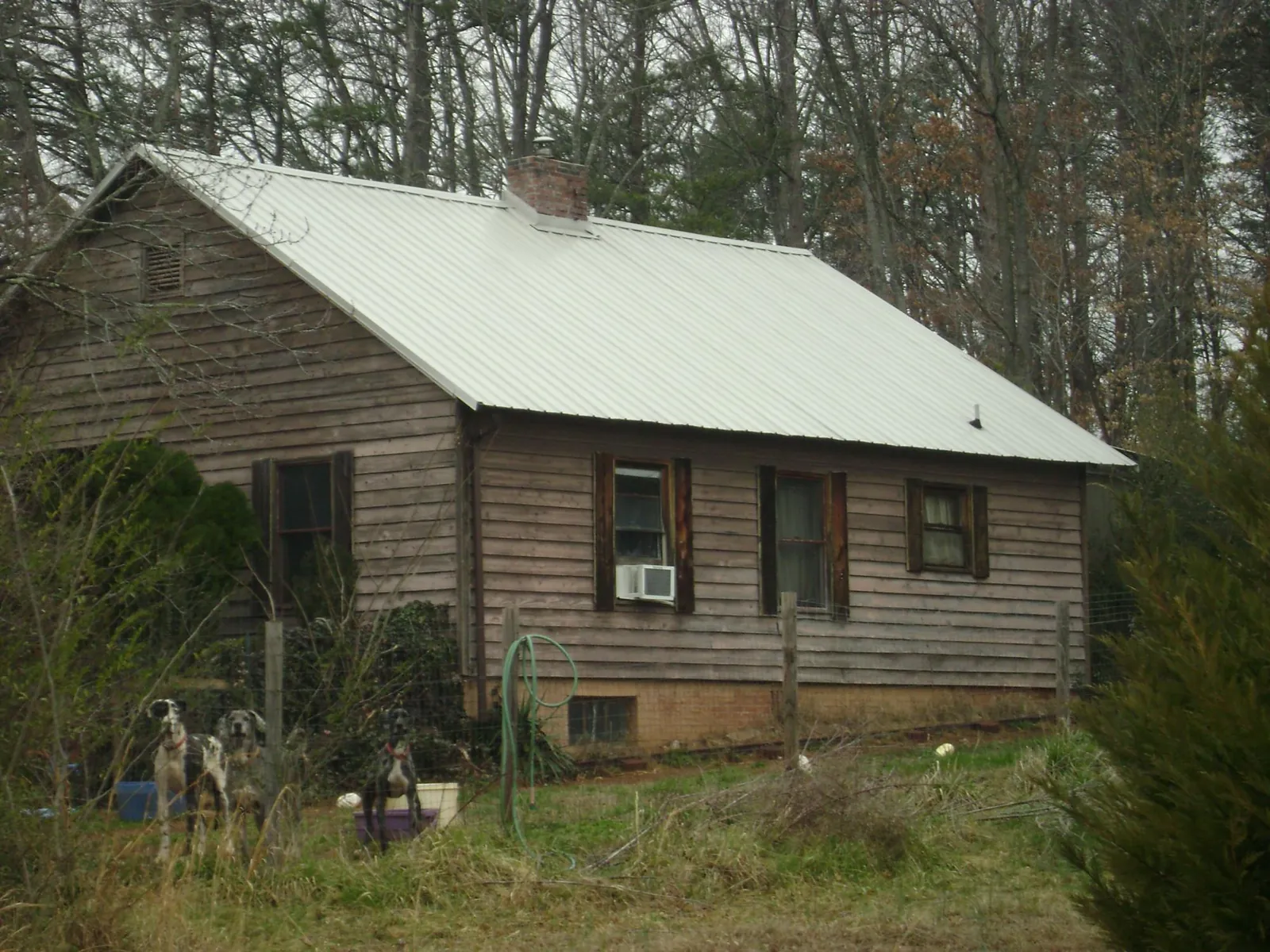 White metal roof on an old wood sided farmhouse, from a Asphalt Shingle Roof Repair job in Fox Lake